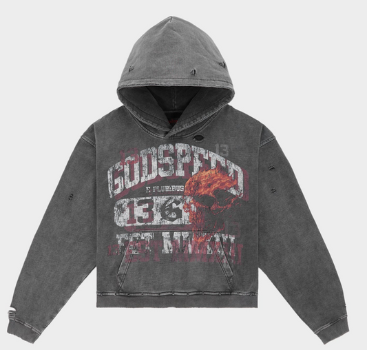 Godspeed Seeing Double Grey Hoodie