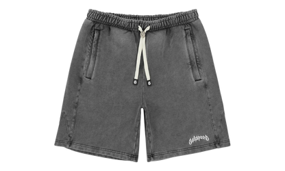 GODSPEED VITAL TERRY WASHED GREY SHORTS